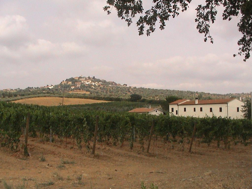Agriturismo Vigna Mai 马利亚诺因托斯卡纳 外观 照片