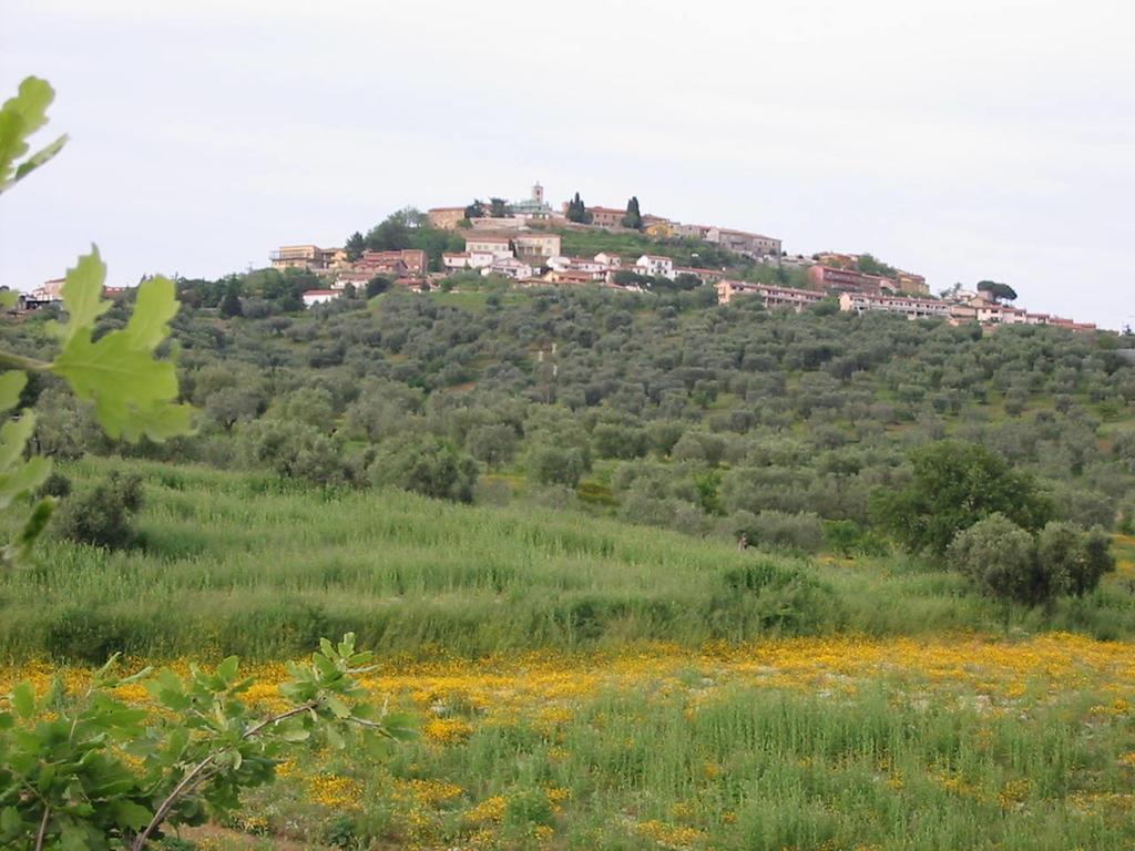 Agriturismo Vigna Mai 马利亚诺因托斯卡纳 外观 照片