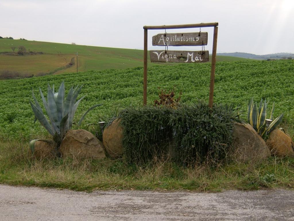 Agriturismo Vigna Mai 马利亚诺因托斯卡纳 外观 照片