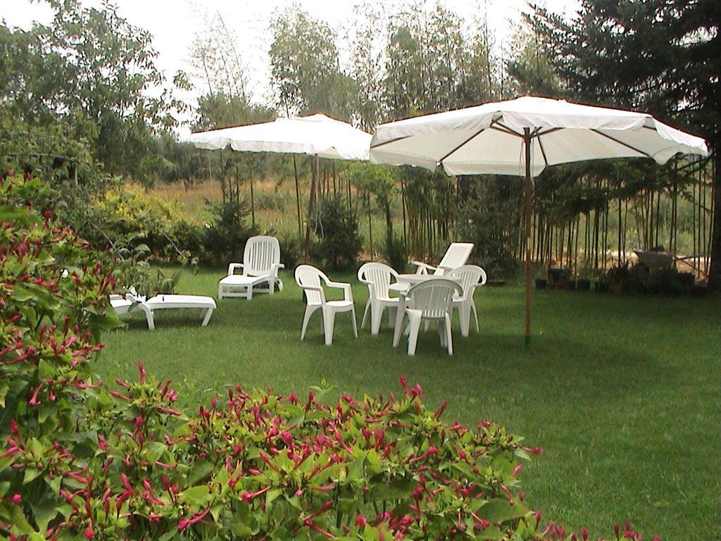Agriturismo Vigna Mai 马利亚诺因托斯卡纳 外观 照片